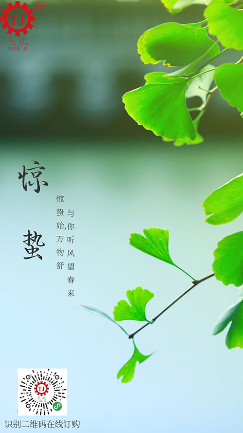 天機(jī) 天機(jī)